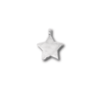 Mini Twinkle Star Charm  2 Character Customized Stamp