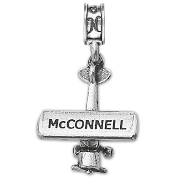 McConnell AFB Cessna Charm