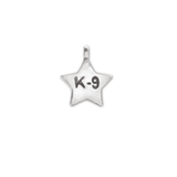 Mini Twinkle Star Charm