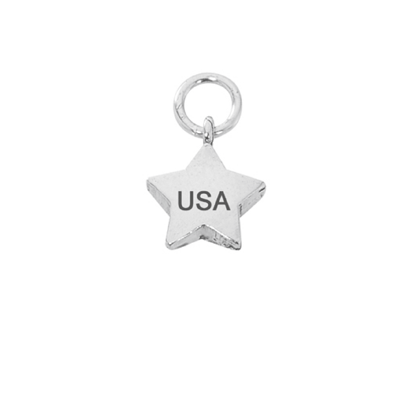 Mini Twinkle Star State Charm