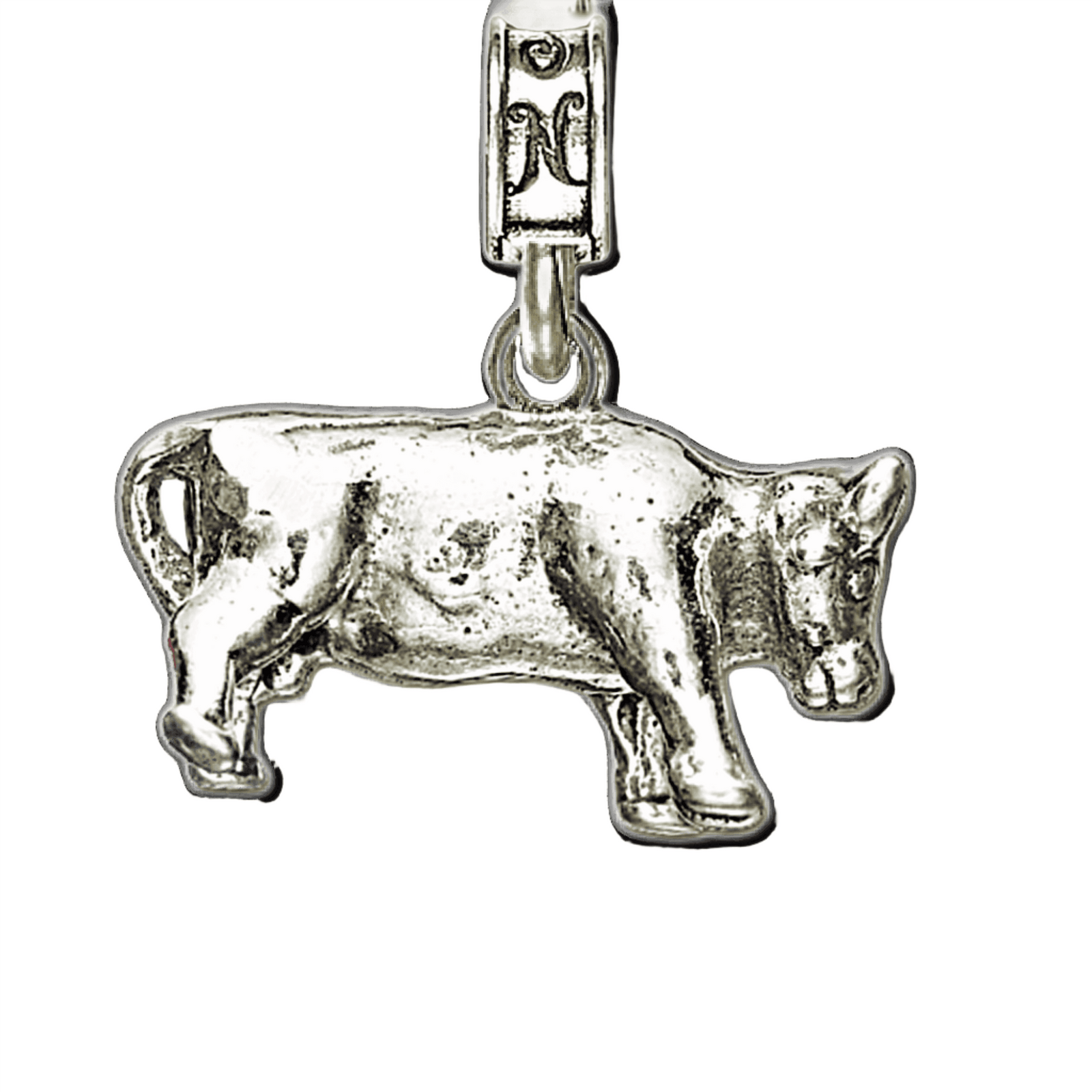 MCAS El Toro Bull Charm